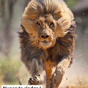 Meet your Posher, Charles